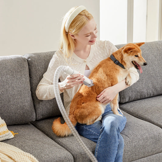 5-in-1 Pet Grooming Vacuum Kit for Dogs & Cats