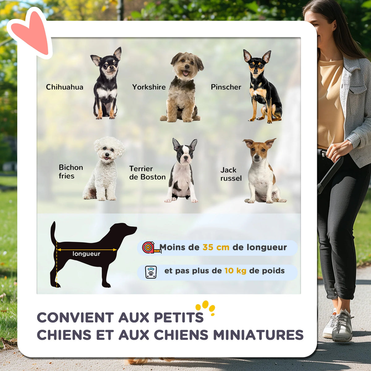 Poussette Pliable pour Chien et Chat - Panier & Porte-Gobelet
